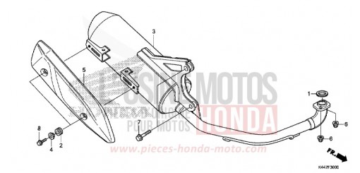 SILENCIEUX D'ECHAPPEMENT NSC110MPDK de 2019